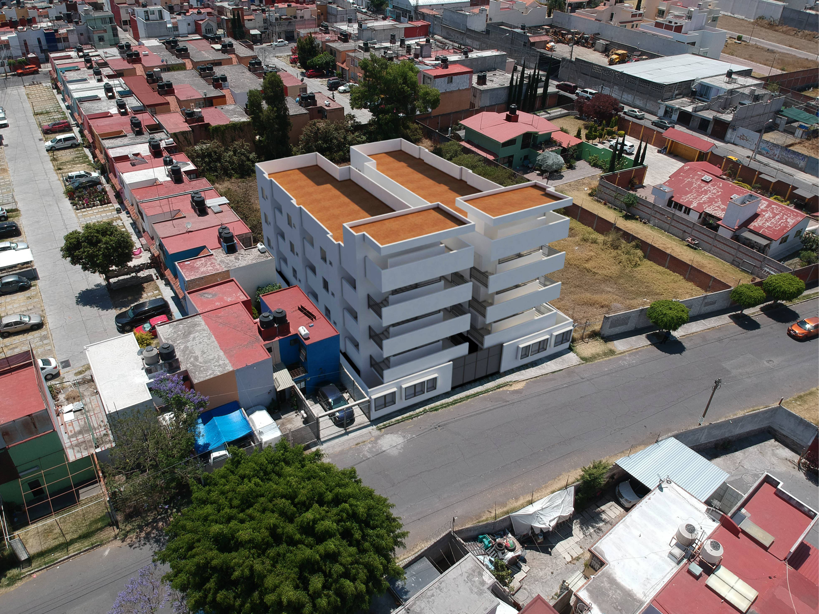 Bloomer HG Alamos Foto 10