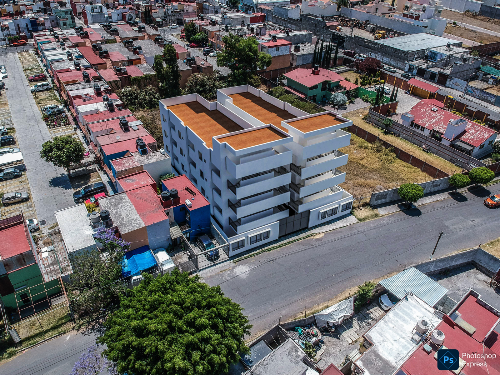 Bloomer HG Alamos Foto 6