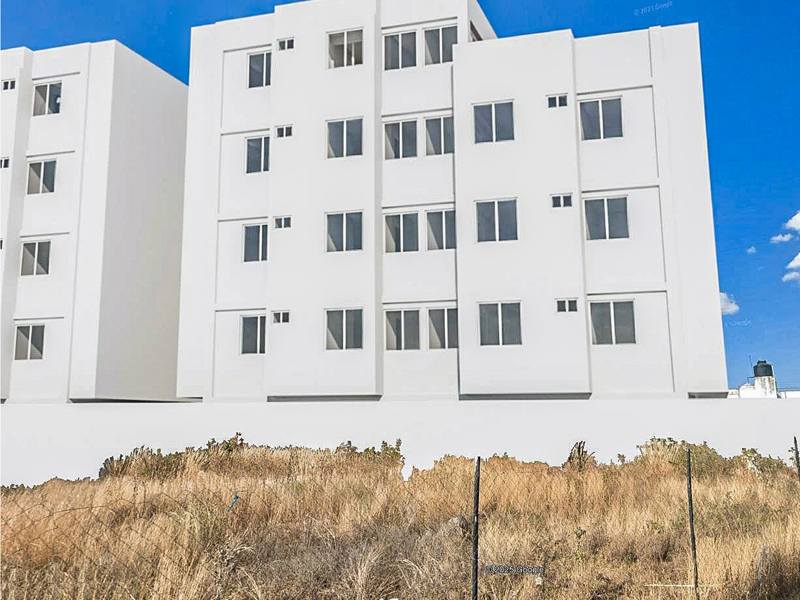 Bloomer HG Alqueria Foto 12