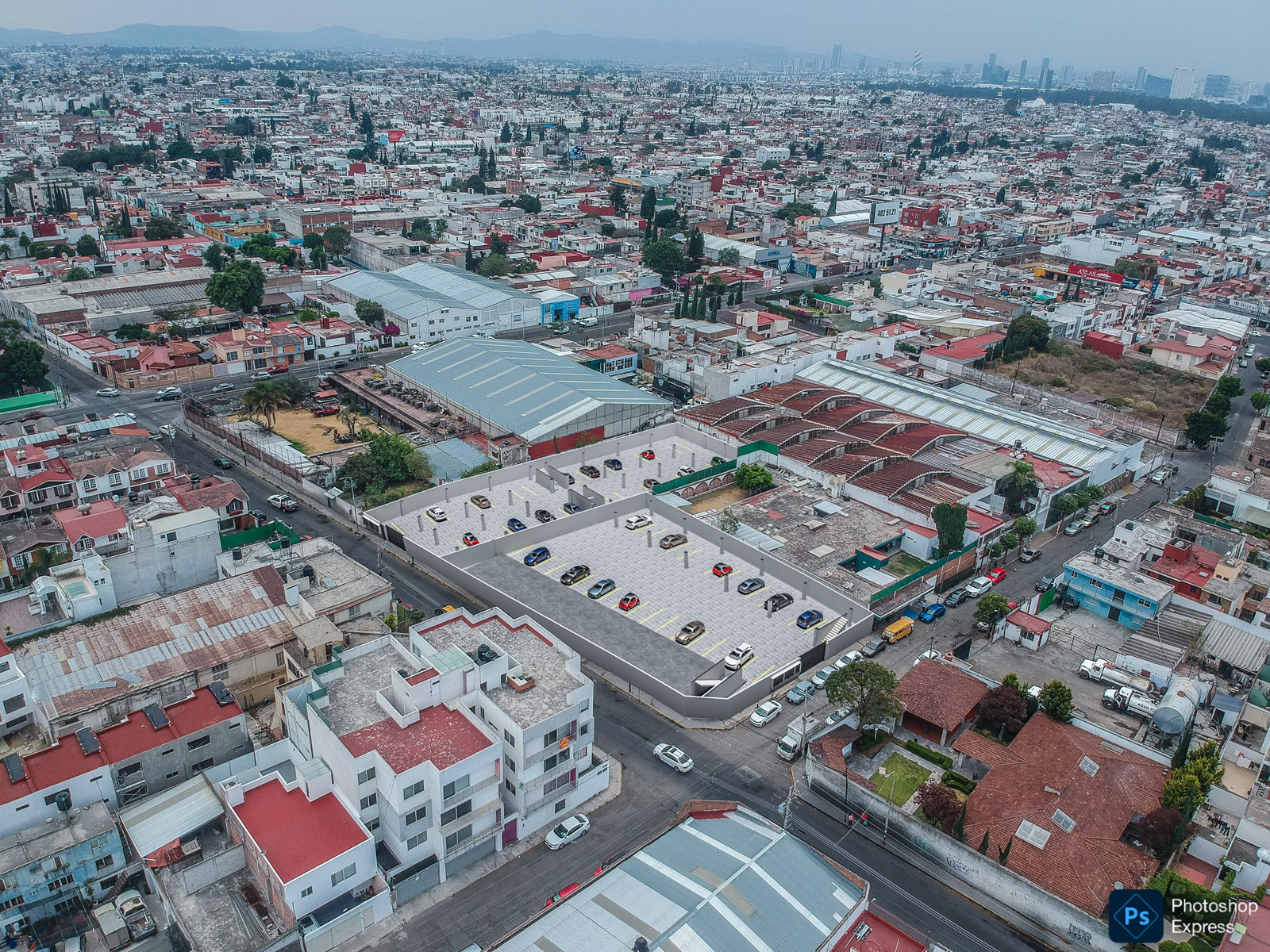 Bloomer HG Kentia Foto 9