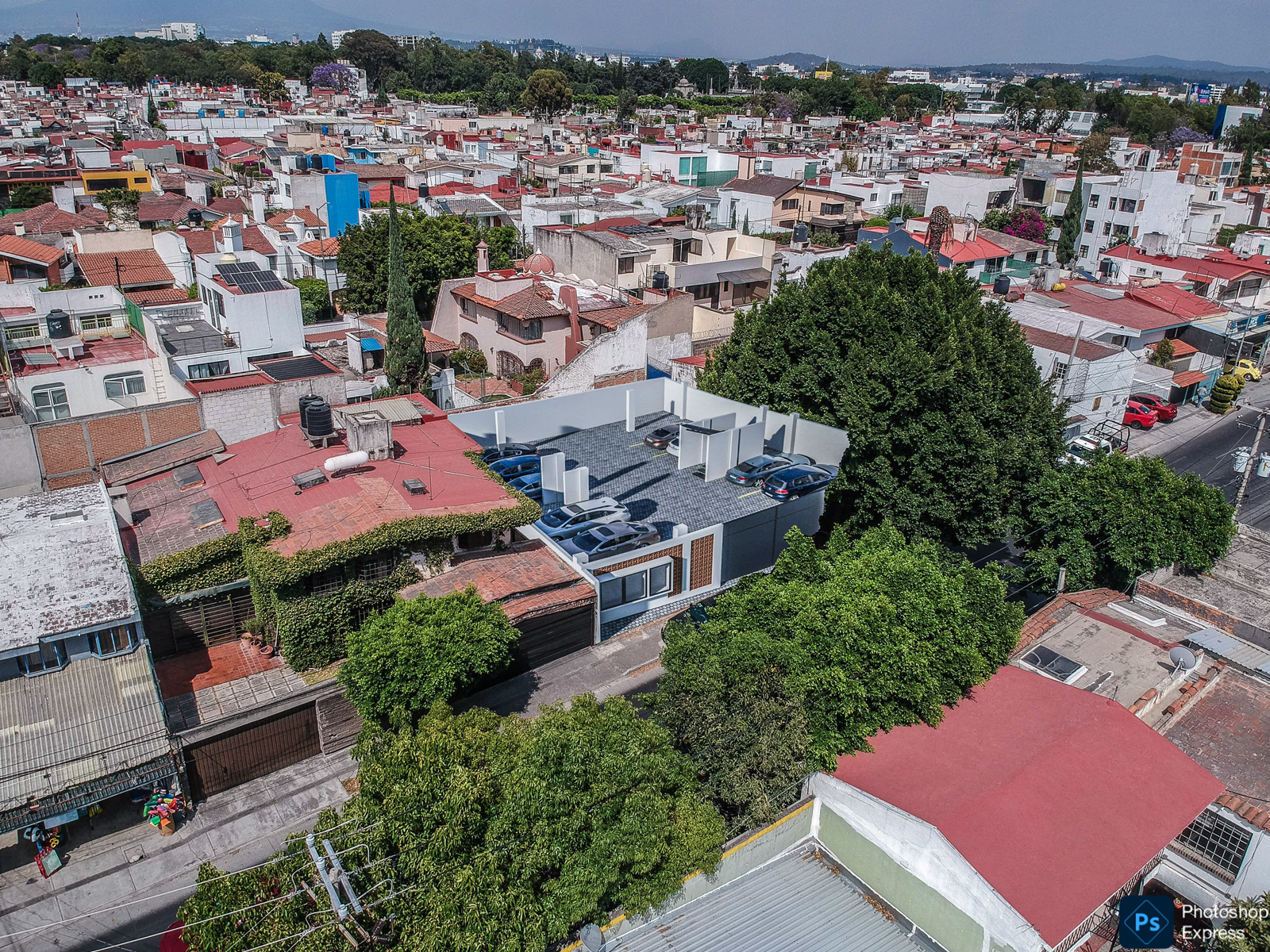 Bloomer HG Rodano Foto 15