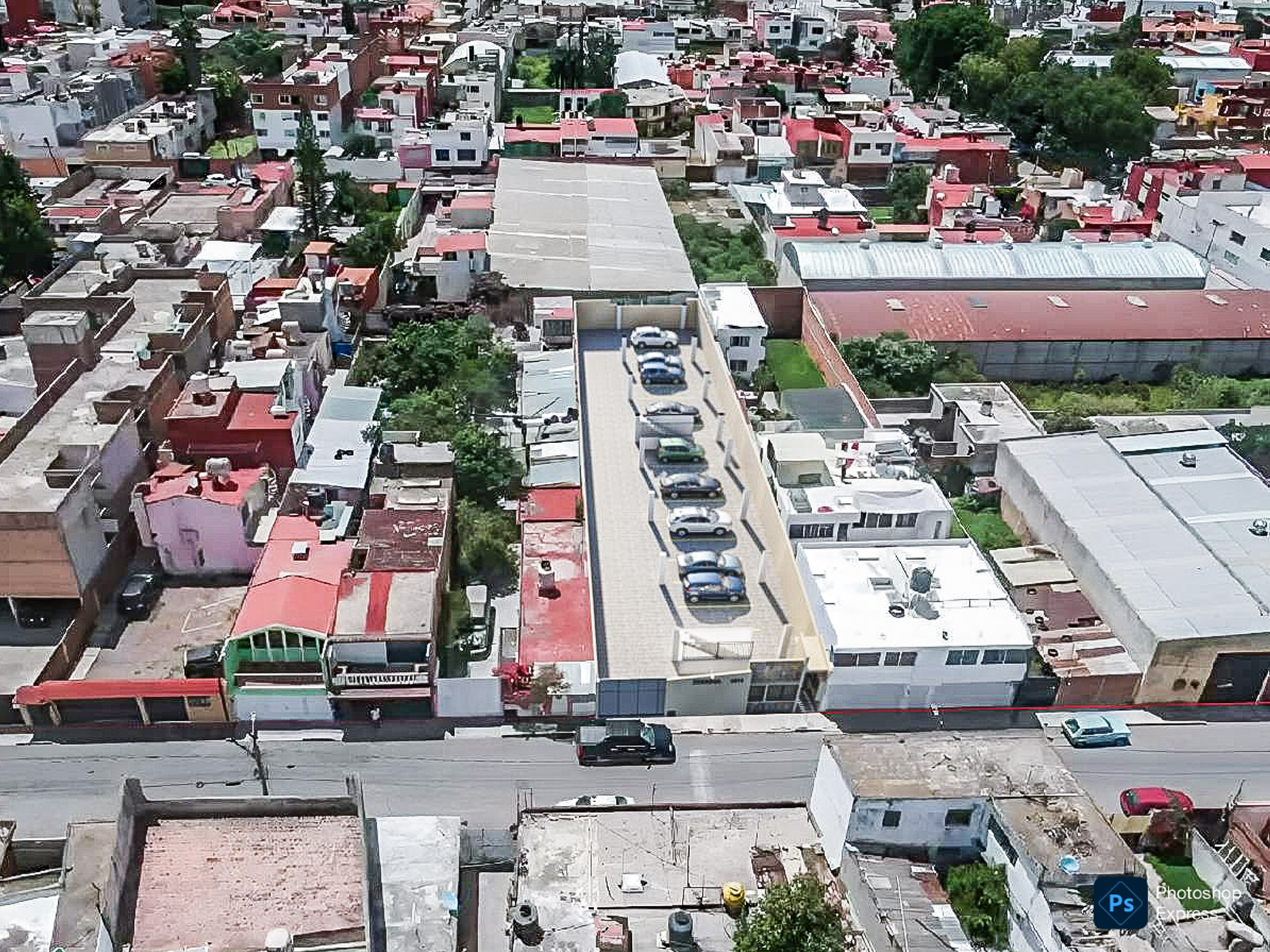 Bloomer HG Zebrina Foto 10