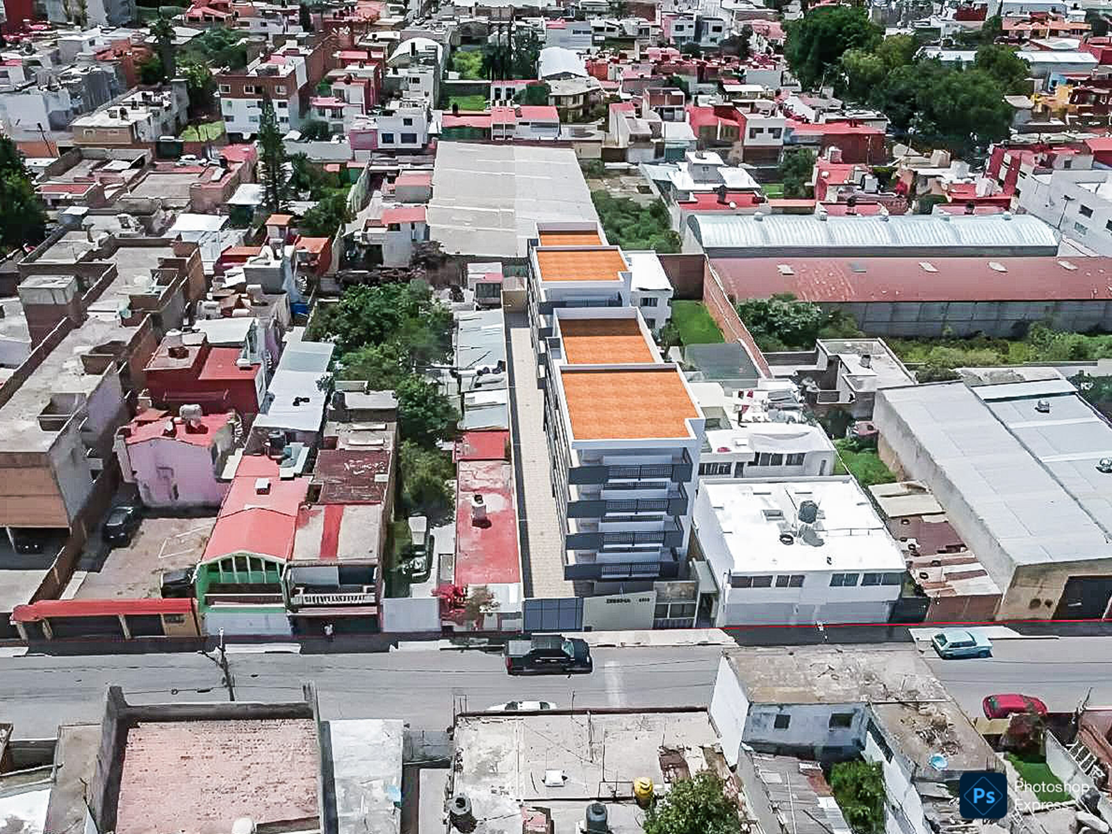 Bloomer HG Zebrina Foto 11