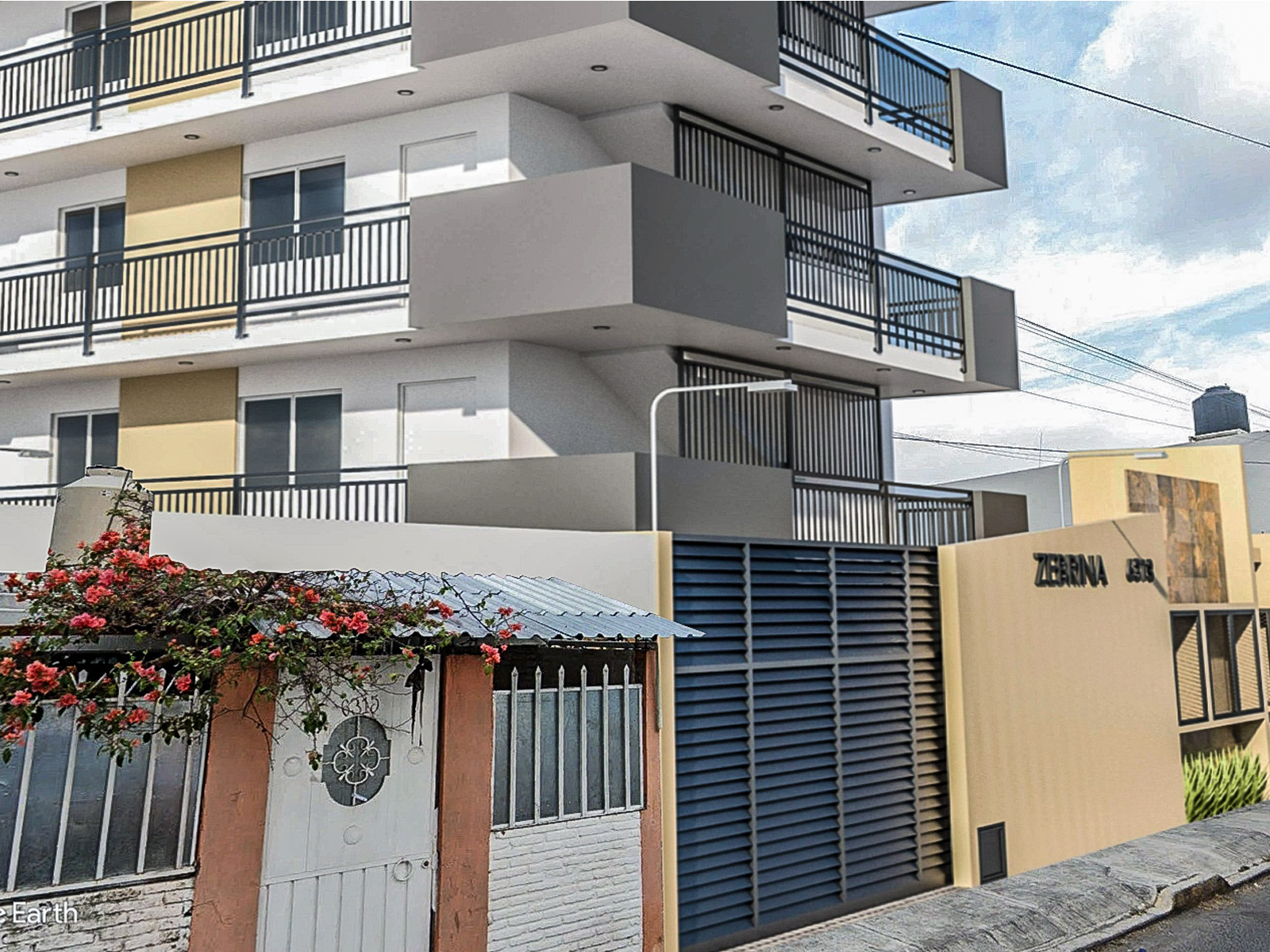 Bloomer HG Zebrina Foto 14