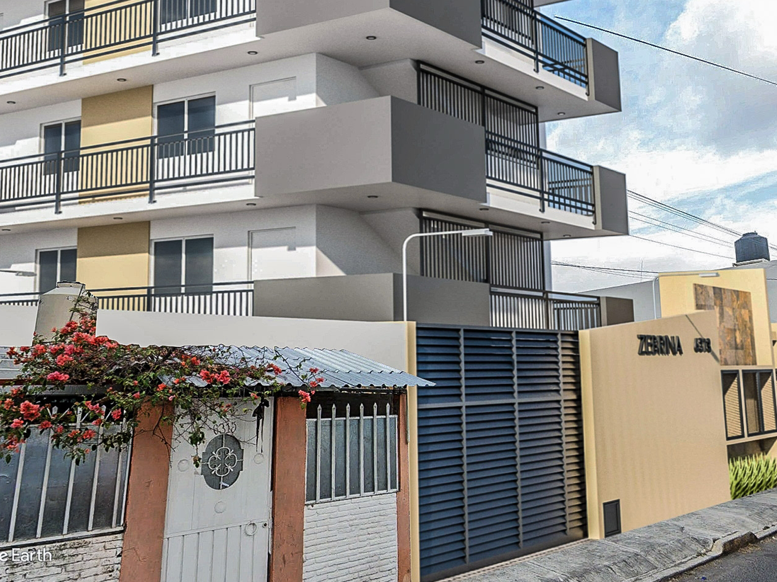 Bloomer HG Zebrina Foto 15